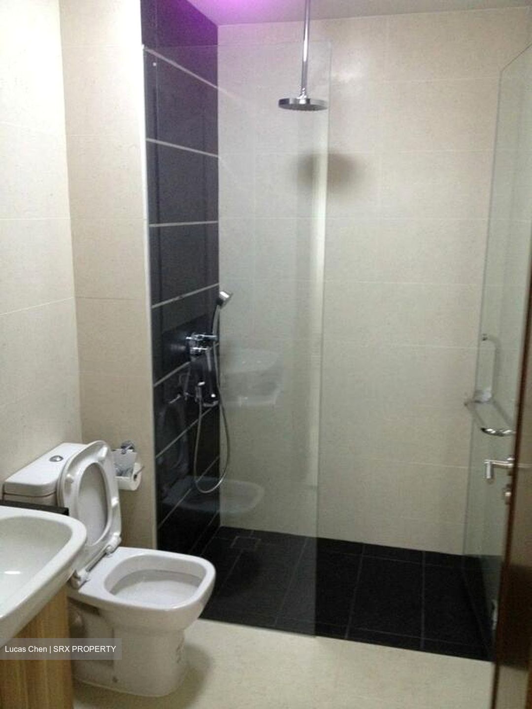Centra Suites (D14), Apartment #521582111